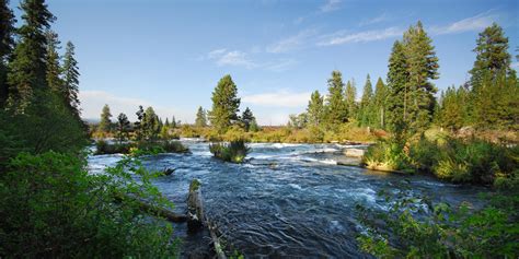 Deschutes River Trail, Upper Reach Hiking Trail | Outdoor Project