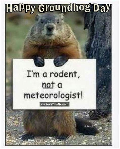 Pin by Teresa Brumbelow on Animal Magnetism | Groundhog day, Happy ...