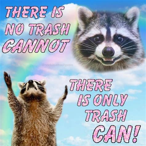 Nocturnal-Trash-Posts-Raccoon-Memes-Instagram in 2022 | Animal memes ...