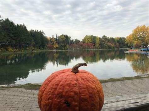 Nature Centre (Le Centre de la nature) (Laval) - All You Need to Know BEFORE You Go - Updated ...