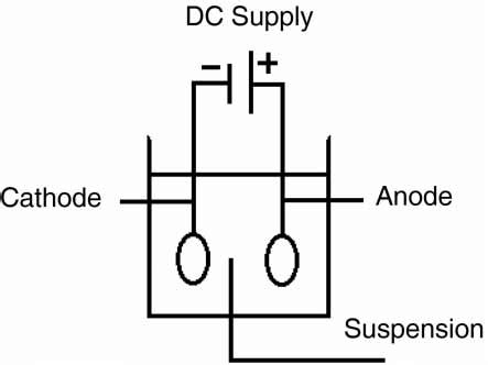 | Schematic view of electrophoretic deposition process. | Download Scientific Diagram