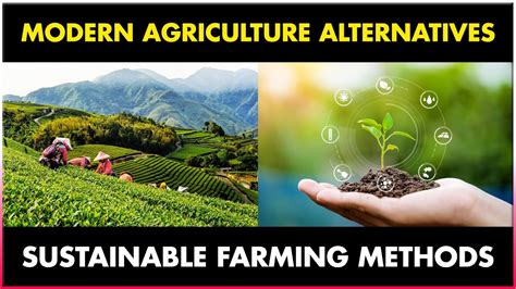 Modern Agriculture Alternatives | Sustainable Agriculture Methods and ...