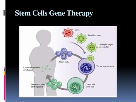 stem cell gene therapy