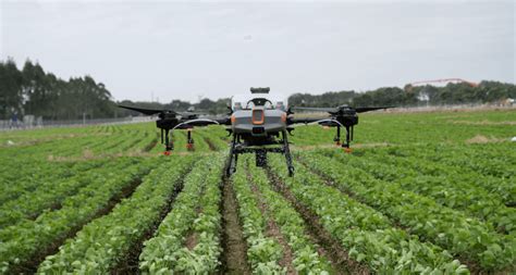 The Use of Drones in Agriculture Today