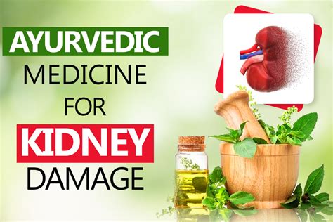 Natural Ayurvedic Medicine For Kidney Damage Treatment