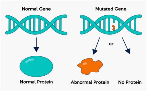 GENE MUTATION