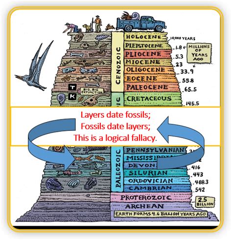 Fossils In Rock Layers