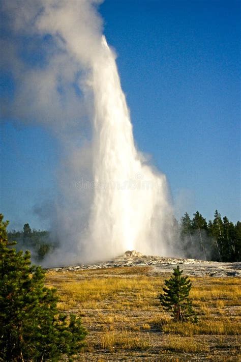 Old Faithful Eruption stock image. Image of geyser, yellowstone - 130618325