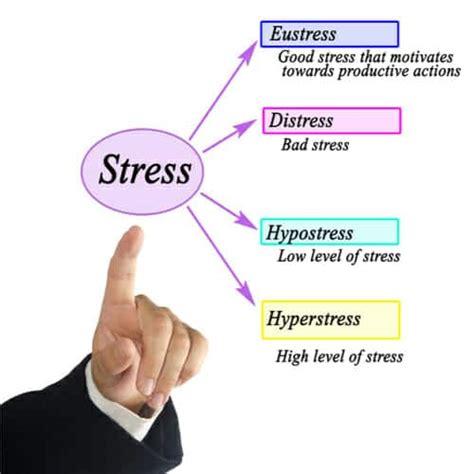 Eustress Vs Distress: The Difference Between Good And Bad Stress - Makin Wellness