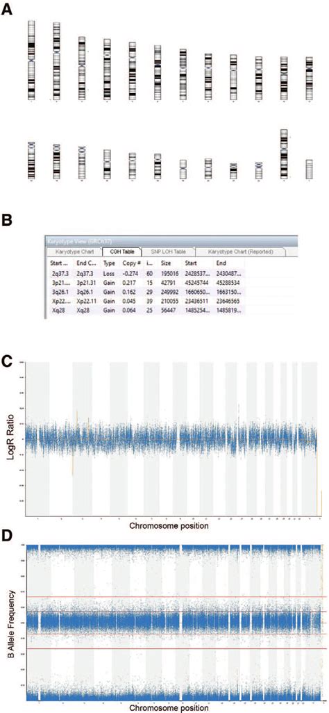 SNP array analysis is carried out using BlueFuse. (A) Example of a... | Download Scientific Diagram