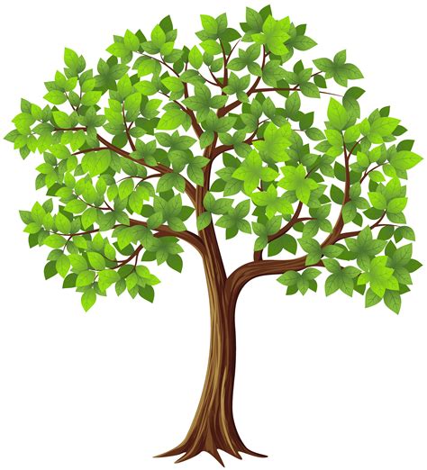 Fig Tree Clipart at GetDrawings | Free download