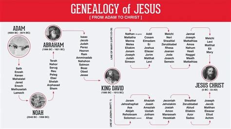 Deciphering The Genealogies Of Jesus - Harmony Christian