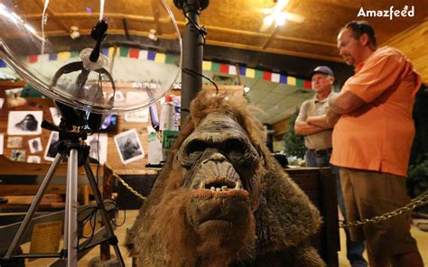 Expedition Bigfoot Season 4 ⇒ Release Date, News, Cast, Spoilers ...