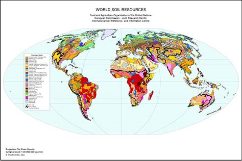 Where is the most fertile soil on Earth?