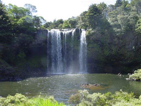 Rainbow Falls - Most Attractive Waterfall in Kerikeri