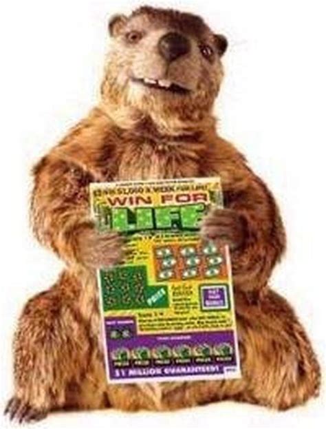 Should Groundhog Gus make a comeback for the Pennsylvania Lottery?: A ...