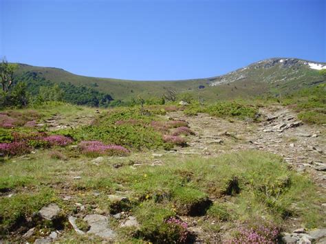 Hiking in Pelister National Park from Dihovo to Pelisters Eyes - Path ...