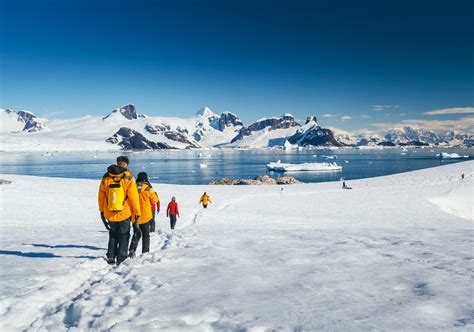 Antarctic Explorer: Discovering the 7th Continent | Quark Expeditions