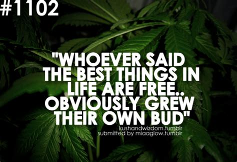 Funny Quotes About Marijuana. QuotesGram