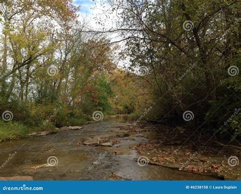 Creek Meandering through the Changing Landscape of Autumn Stock Photo - Image of meander ...