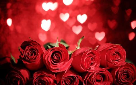 Download wallpapers red roses, Valentines Day, romantic bouquet, roses, rose bouquet for desktop ...