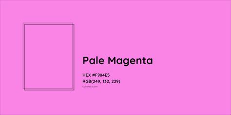 About Pale Magenta - Color codes, similar colors and paints - colorxs.com
