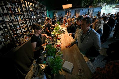 BottleRock Napa Valley: What's it like to be a VIP?