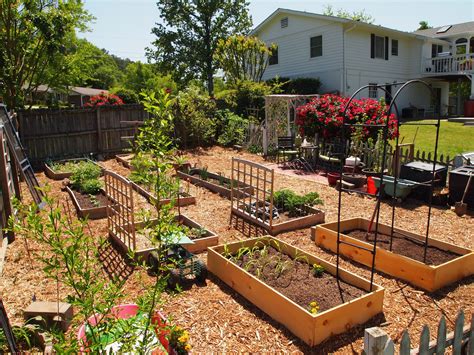 Garden Layout Ideas Raised Beds