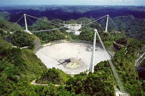 Arecibo Observatory radio telescope - Lotto the Cat