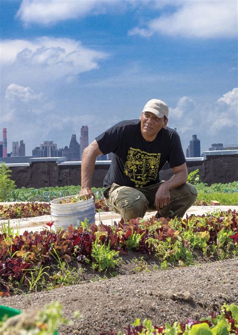 Rooftop Farming Provides Solace & Opportunity - Small Farmer's JournalSmall Farmer's Journal