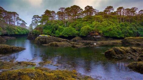 Glengarriff Nature Reserve: 4 Top Walks for 2024