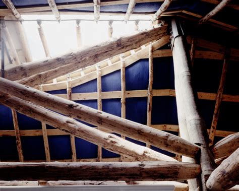 School and Research Centre, Hooke Park, Beaminster, Dorset: detail of the green wood used in the ...