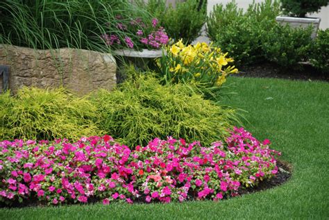 Great Ground Covers that Love Sun - Atlantic Maintenance Group