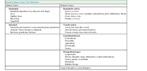 Urinary Tract Obstruction | Abdominal Key