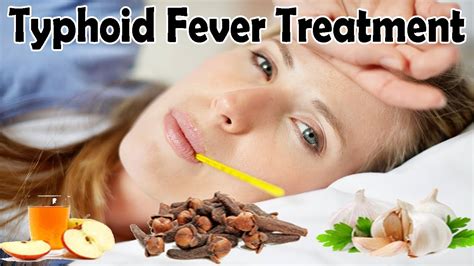 10 Best Herbal Treatments for Typhoid Fever in Nigeria – Wealth Result