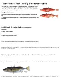 Stickleback Fish: An Evolution Story About Adaptation