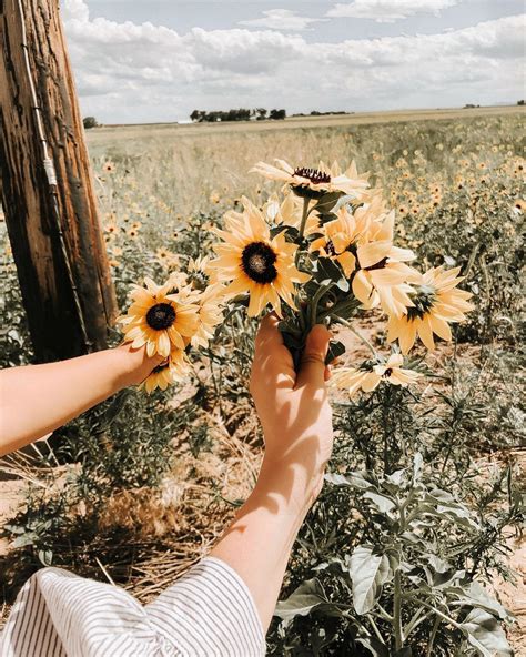 Picking wild flowers with my Wild flower 🌻 ️ . . Stumbled on the cutest ...