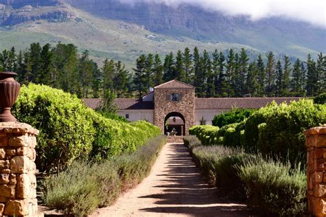 Tasting South African Wine in Stellenbosch | The Open Suitcase