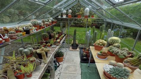 My Cacti & Succulent plant Greenhouse collection in Ireland UPDATE Part two - YouTube