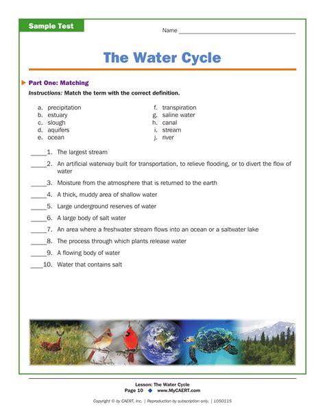 Water Cycle Definitions Worksheet