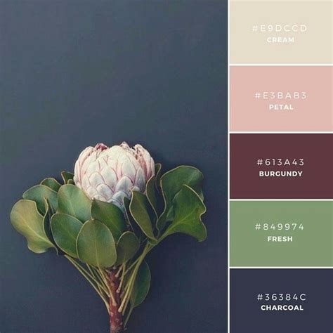 Kode Warna Sage Green Di Canva - IMAGESEE