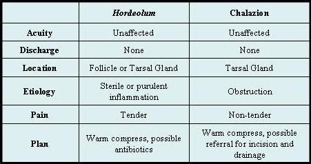 Case Report: Stye or Chalazion? - Journal of Urgent Care Medicine