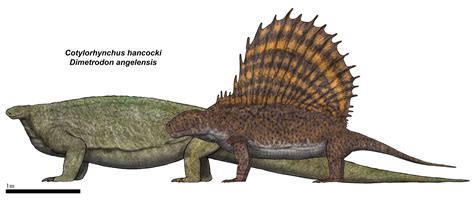 Cotylorhynchus vs Toxodon | The World of Animals