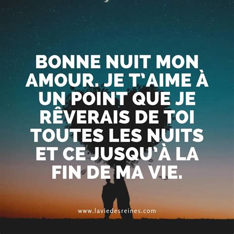 100 SMS pour dire bonne nuit mon amour (Avec images)