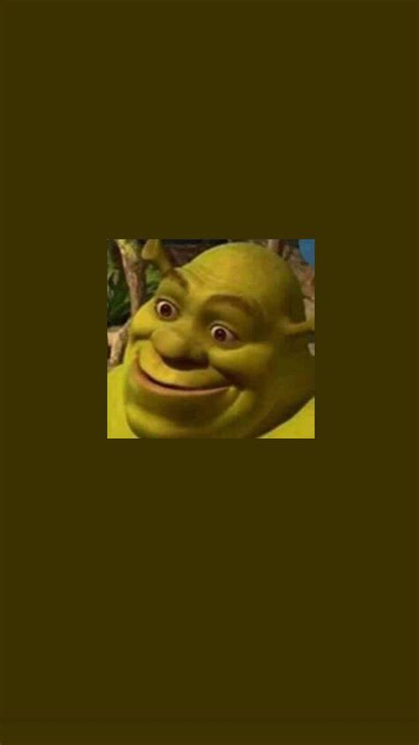 Funny Shrek Wallpapers Mới Cập Nhật