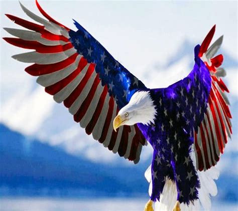 American Eagle Wallpaper