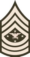 Template:Ranks and Insignia of NATO Armies/OR/United States - Wikipedia