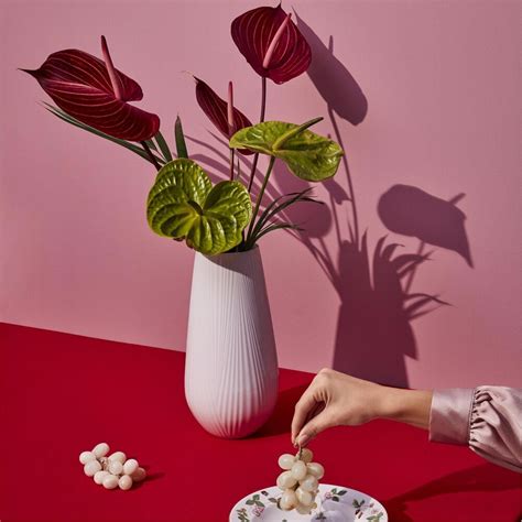 Wedgwood | Folia Vase - Tall - White | Women | White | Amara