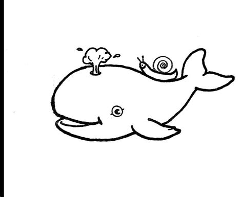 the whale and the snail - ePuzzle photo puzzle