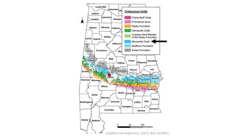 Alabama Black Belt among world’s top sites to find ancient sea monsters – 1992 Daily